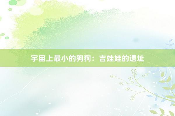 宇宙上最小的狗狗：吉娃娃的遗址