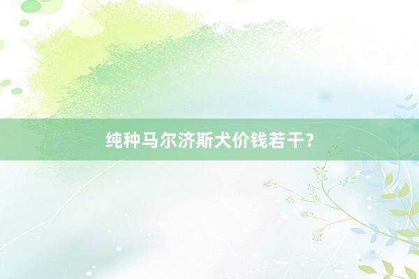 纯种马尔济斯犬价钱若干？