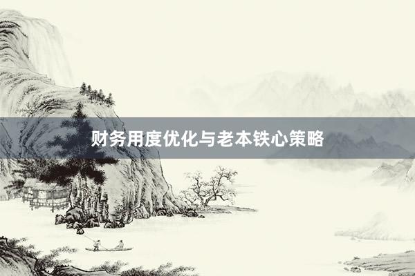 财务用度优化与老本铁心策略